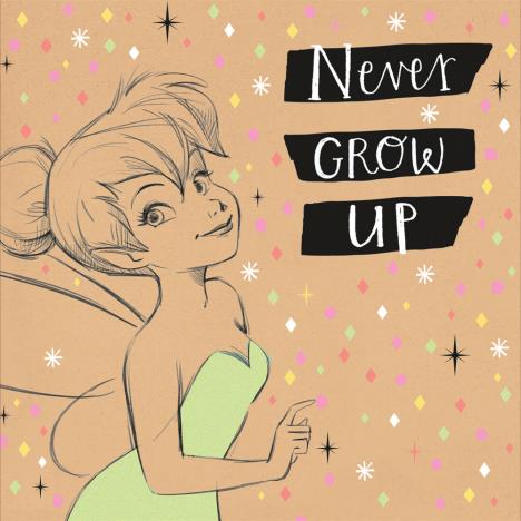Never Grow Up Tinkerbell Disney Faries Birthday Card £1.99